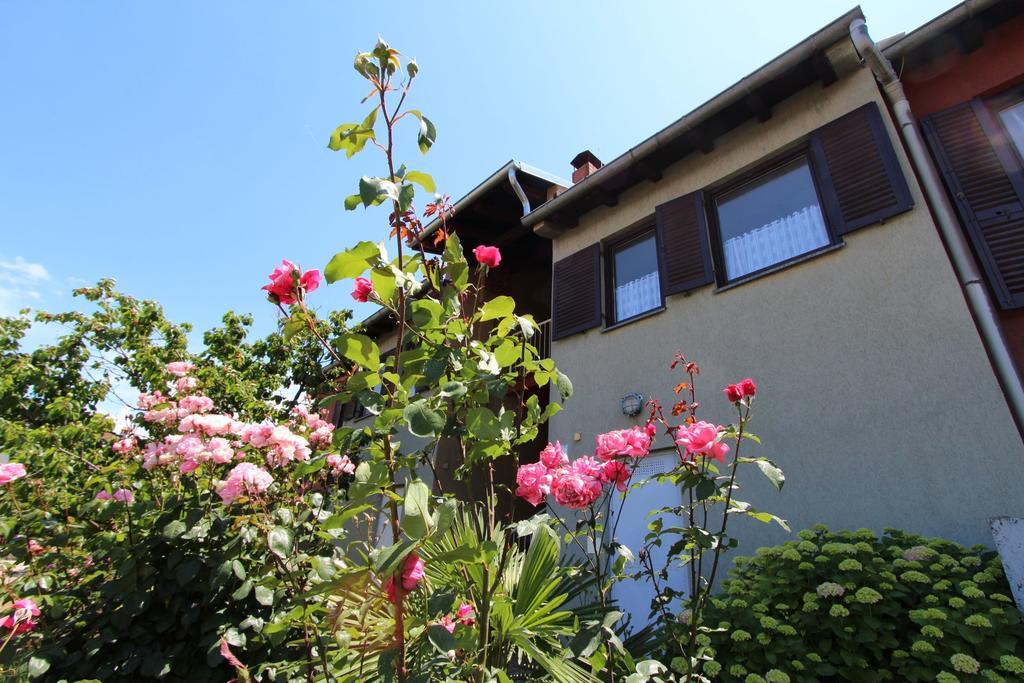 Apartment Mitton 2 Rovigno Esterno foto